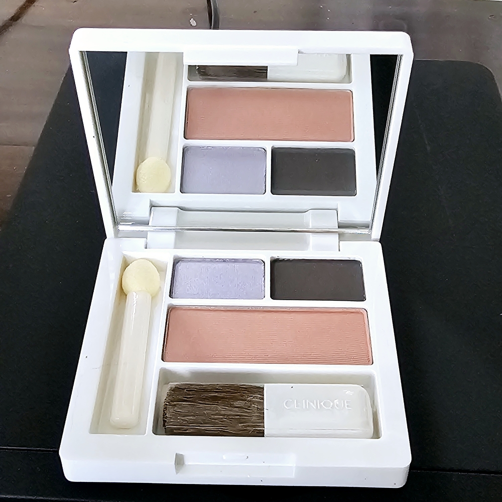 Clinique Color Surge Eye Shadow Duo Matte Slate Blackberry Frost Pink Blusher